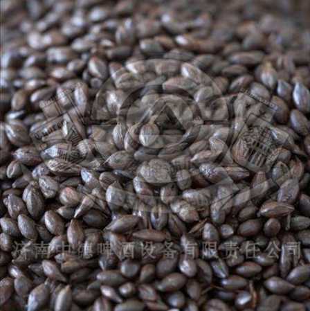 Black barley malt