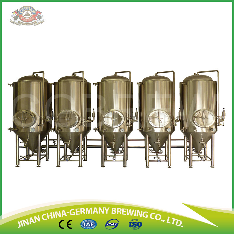 Fermenting system